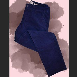 Deep Indigo Corduroy Pants